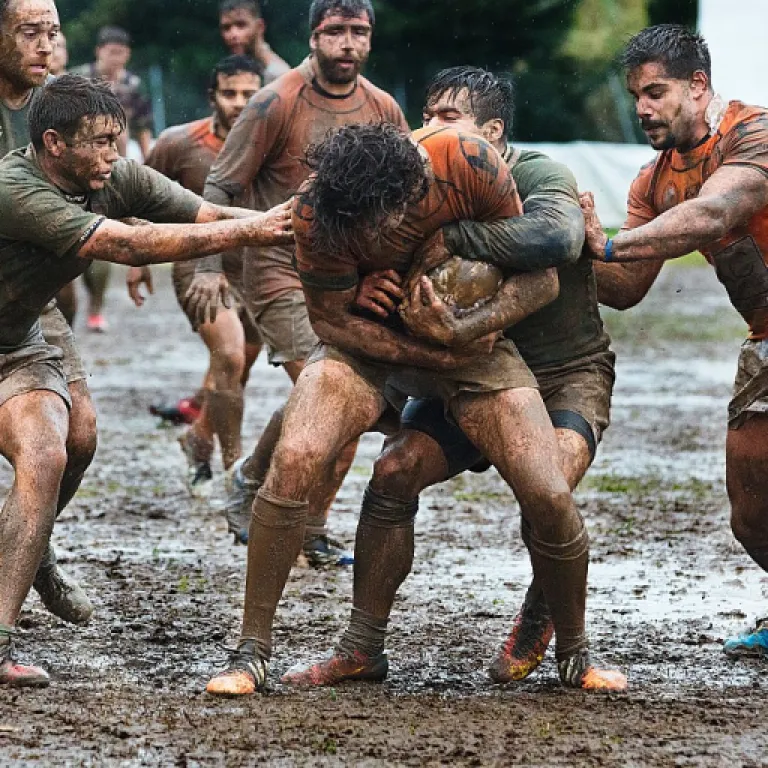 Magazine la maison du B2B entreprise : un levier stratégique pour la direction commerciale